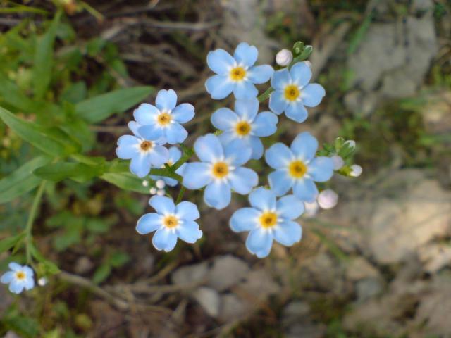 DSC07638.JPG